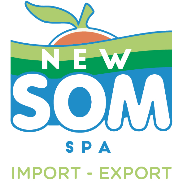 New Som Logo