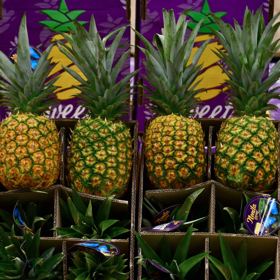 Ananas