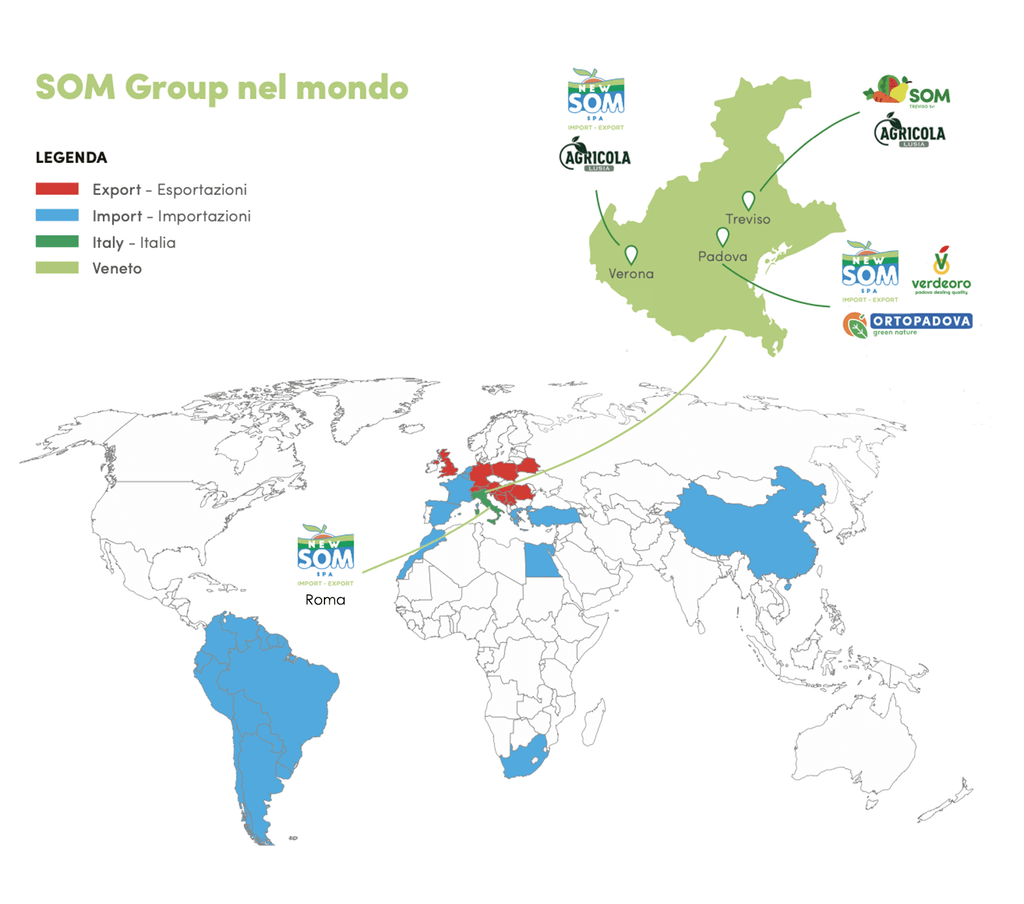 SOM Group nel mondo